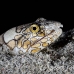 eel_snake_napoleon_c_gb_h_0087_kom0206.jpg